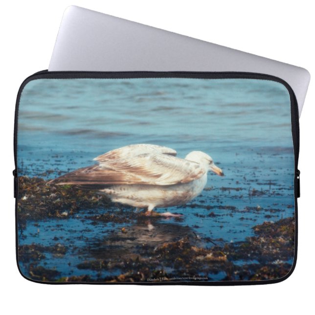 Herring Gull P1046 Laptop Sleeve (Front)