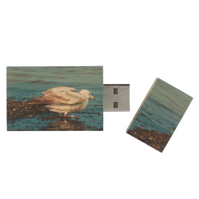 Herring Gull P1046 Wood Flash Drive (Opened)