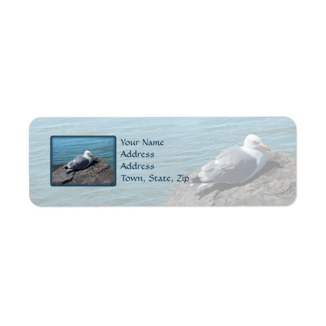 Herring Gull Resting on Rock Jetty: Label (Front)