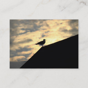 Herring Gull Sunset Business Card