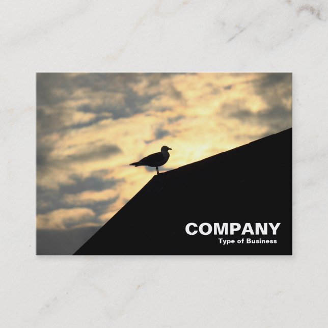 Herring Gull Sunset Business Card (Front)