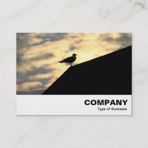 Herring Gull Sunset Business Card