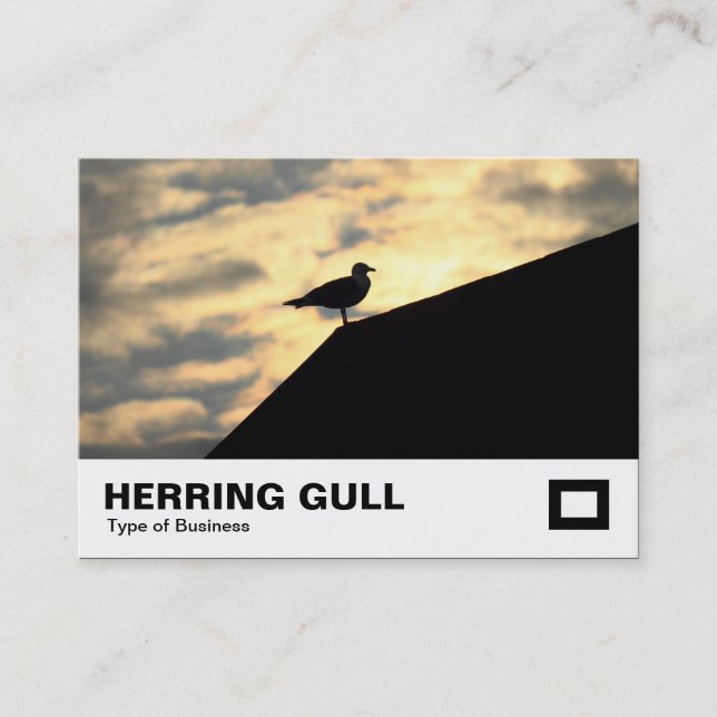 Herring Gull Sunset Business Card (Front)