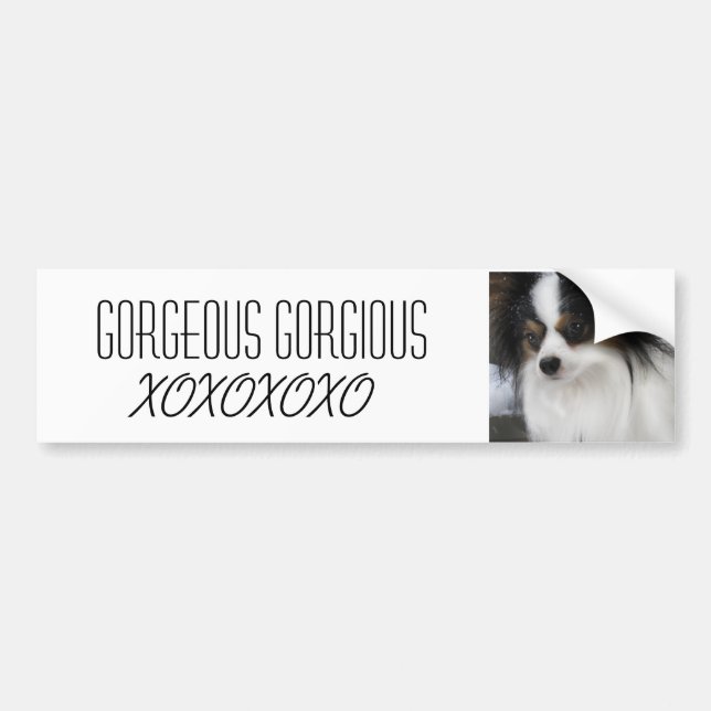 Hershey Kiss Hero Merch Bumper Sticker (Front)