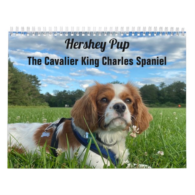 Hershey Pup Cavalier King Charles Spaniel Calendar (Cover)