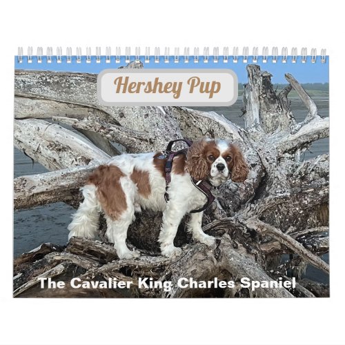 Hershey Pup Cavalier King Charles Spaniel Calendar