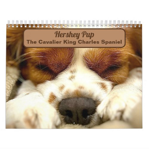 Hershey Pup Cute Cavalier King Charles Calendar