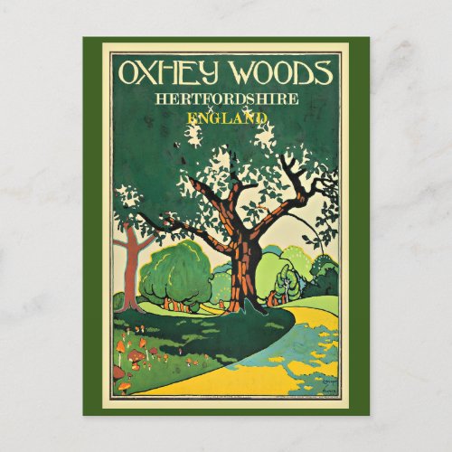 Hertfordshire Oxley Woods England Postcard