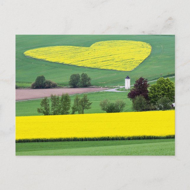 Herzlich Postcard (Front)