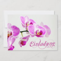 Einladung Invitations Zazzle