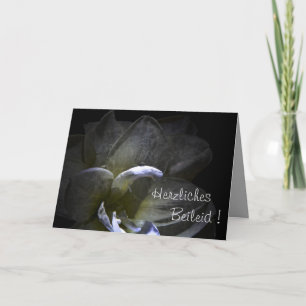 Herzliches Beileid ! Amaryllis Blüte ... Card