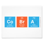 Cobra  Het Print van de foto