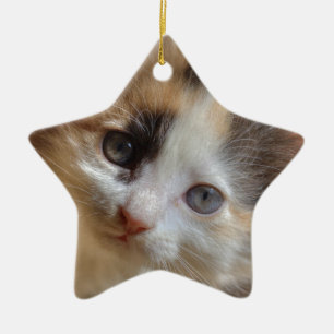 Heterochromia Calico Kitten Ceramic Ornament