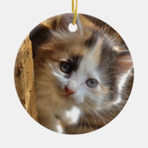 Heterochromia Calico Kitten Ceramic Ornament