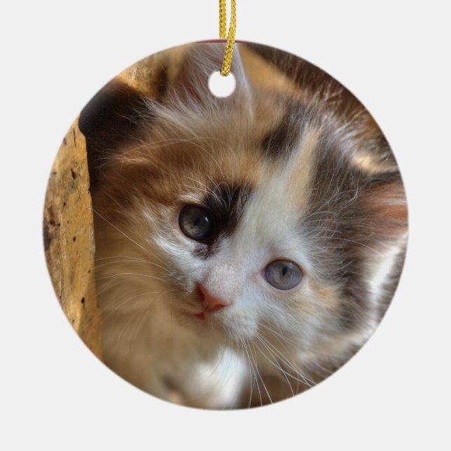 Heterochromia Calico Kitten Ceramic Ornament (Front)