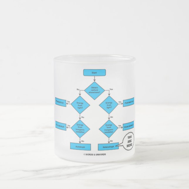 Heterotroph Flow Chart You Are Here Biology Humor Frosted Glass Coffee Mug (Center)