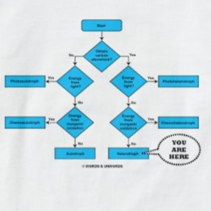 Heterotroph Flow Chart You Are Here Biology Humor T-Shirt