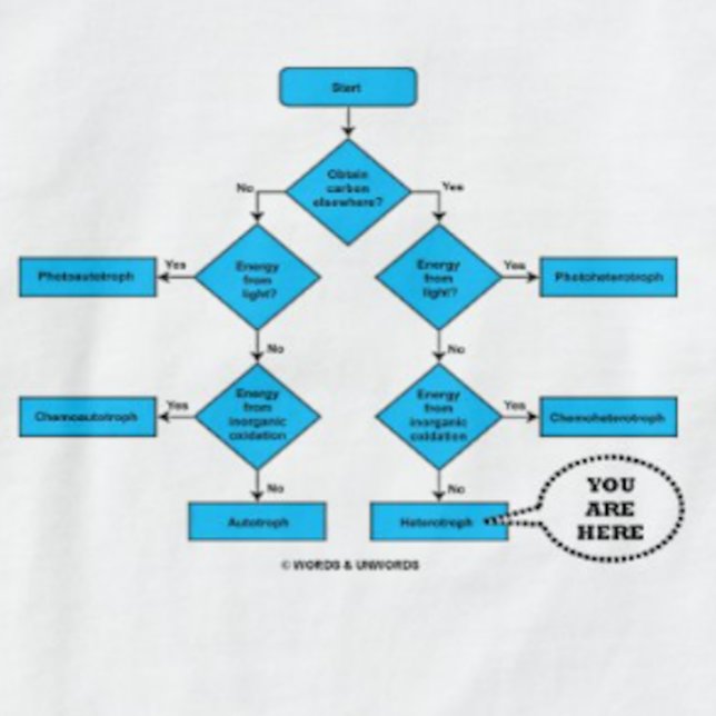 Heterotroph Flow Chart You Are Here Biology Humor T-Shirt (Heterotroph flow chart with "You Are Here" callout on this tee for any heterotroph)