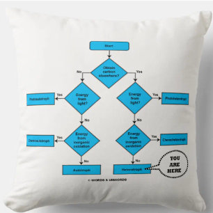 Heterotroph Flow Chart You Are Here Biology Humor Throw Pillow