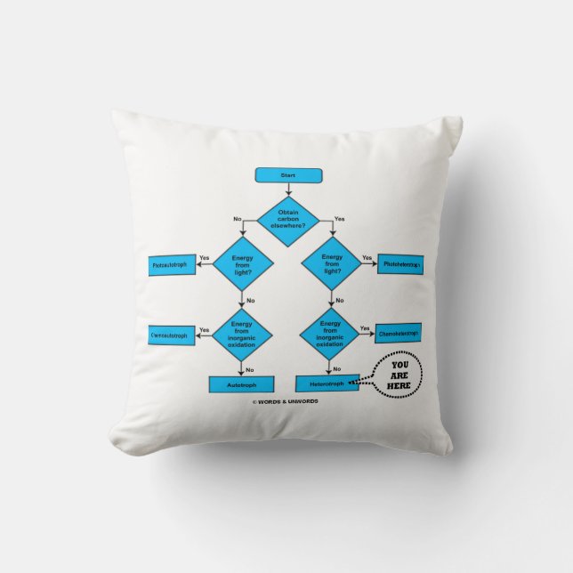 Heterotroph Flow Chart You Are Here Biology Humor Throw Pillow (Front)