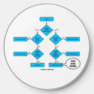 Heterotroph Flow Chart You Are Here Biology Humor Wireless Charger
