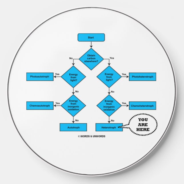Heterotroph Flow Chart You Are Here Biology Humor Wireless Charger (Front)