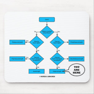 Heterotroph Flow Chart - You Are Here Mouse Pad