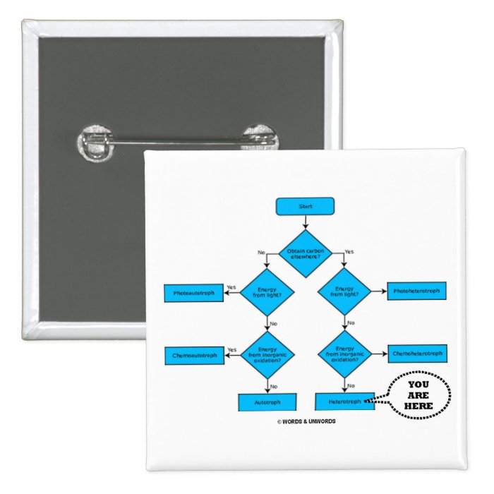 Heterotroph Flow Chart    Pins