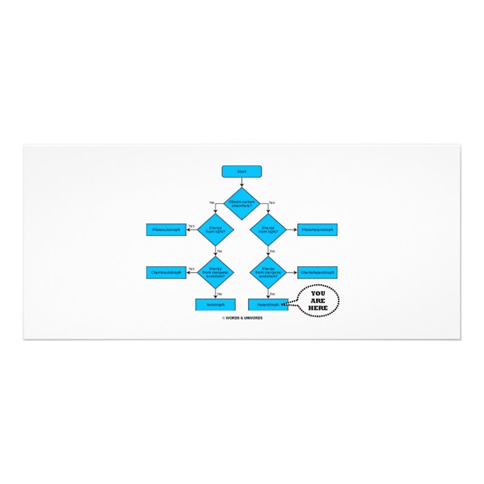 Heterotroph Flow Chart    Custom Rack Cards