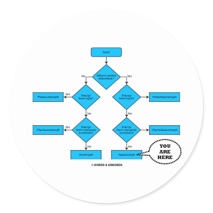 Heterotroph Flow Chart    Round Stickers