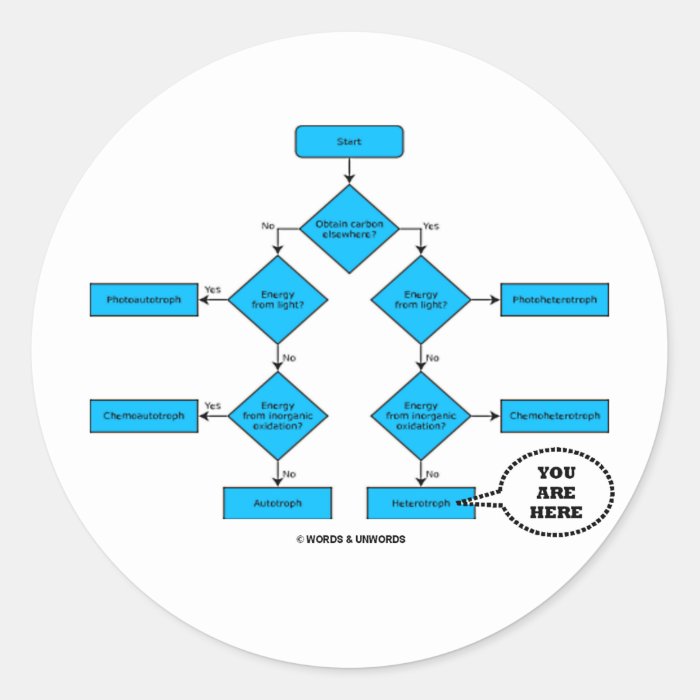 Heterotroph Flow Chart    Round Stickers