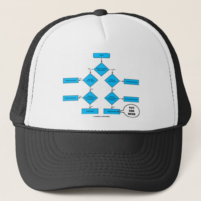 Heterotroph Flow Chart - You Are Here Trucker Hat (Front)