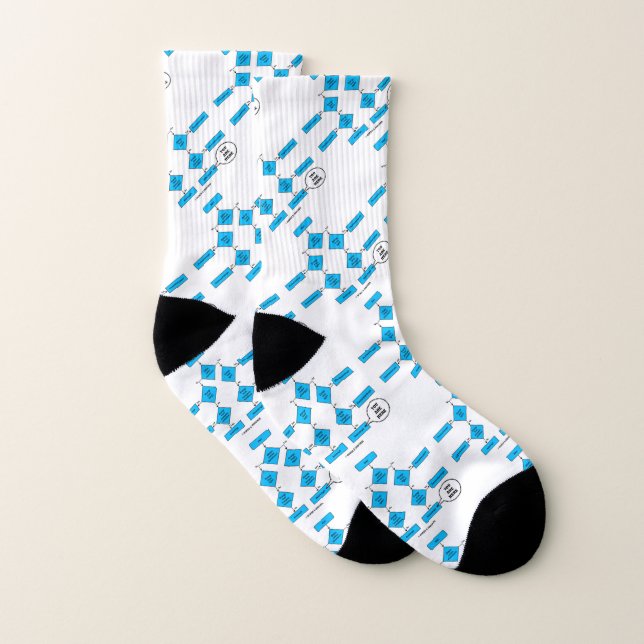 Heterotroph You Are Here Flow Chart Biology Humor Socks (Pair)