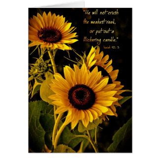HewillnotcrushtheweakestreedZazzle Cards
