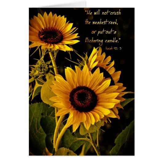 HewillnotcrushtheweakestreedZazzle Cards (Front)