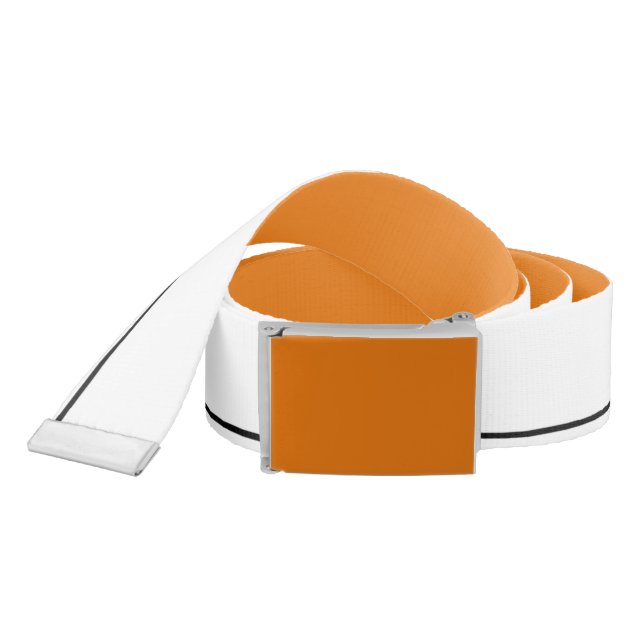 Hex #F17F17, Pumpkin Orange Belts (Snake)