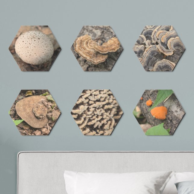 Hexagons of Nature – Artistic Fungi Photo Tile Set (Bedroom)