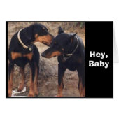 Hey, Baby...! (Front Horizontal)