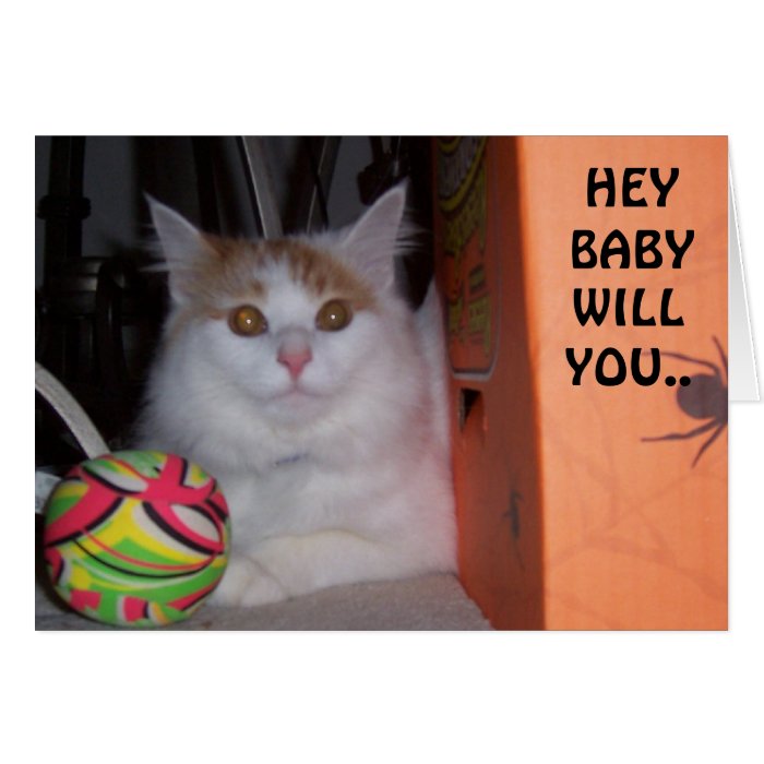 HEY BABY, WILL YOU BE MY VALENTINE SAYS KITTEN CARDS