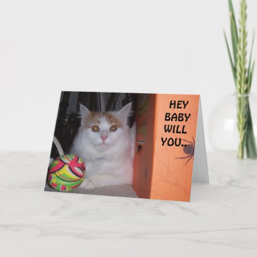 HEY BABY WILL YOU BE MY VALENTINE SAYS KITTEN HOLIDAY CARD