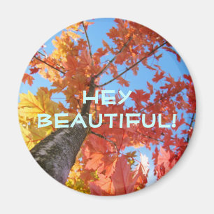 Hey Beautiful! magnet Colorful Fall Tree Leaves