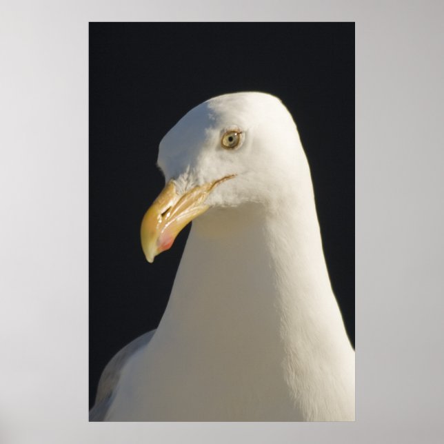 Hey Big Fella Print (Front)