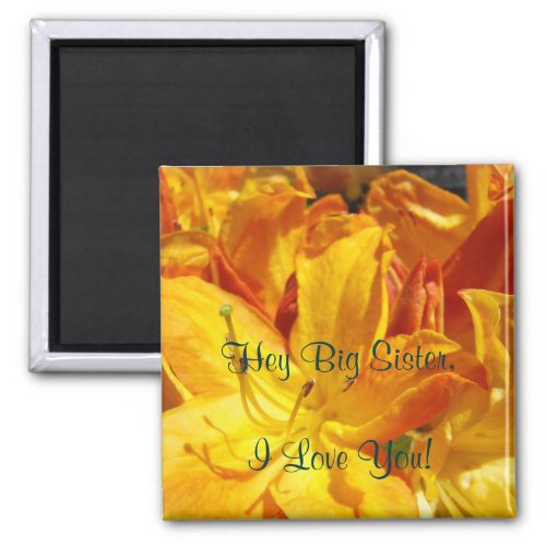 Hey Big Sister I Love You magnet gifts Rhodies