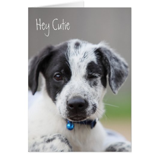Hey Cutie Cards (Front)