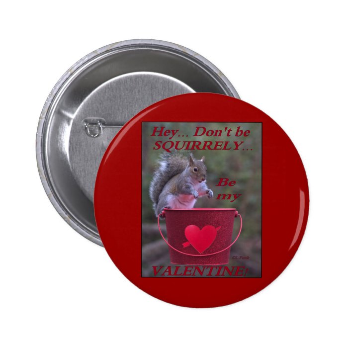 “HeyDon’t be SquirrelyBe My Valentine” Button