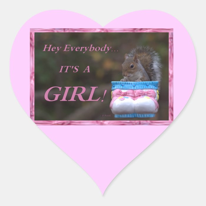 Hey Everybody … It’s A Girl Heart Stickers
