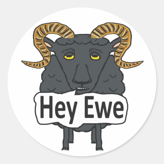 Hey Ewe Funny Sheep Pun Classic Round Sticker (Front)