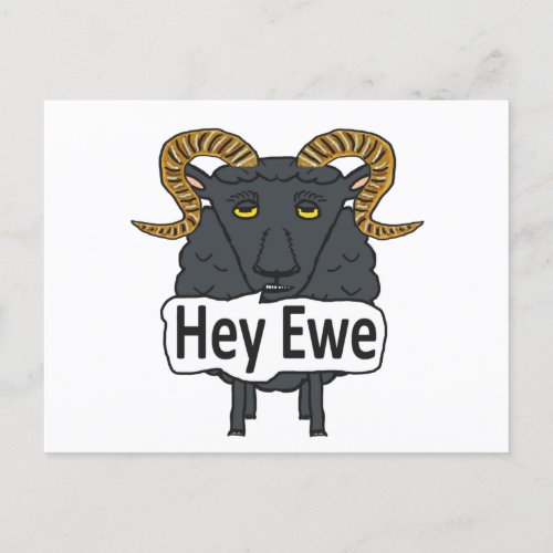 Hey Ewe Funny Sheep Pun Postcard