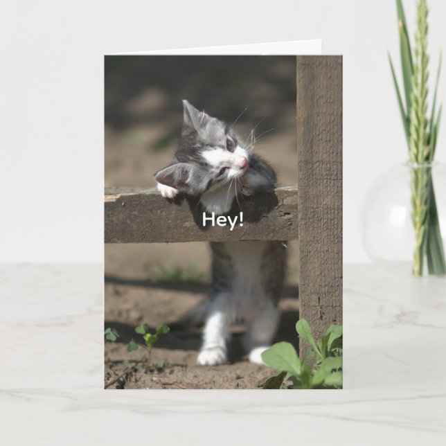 HEY-GET WELL CARD (Front)