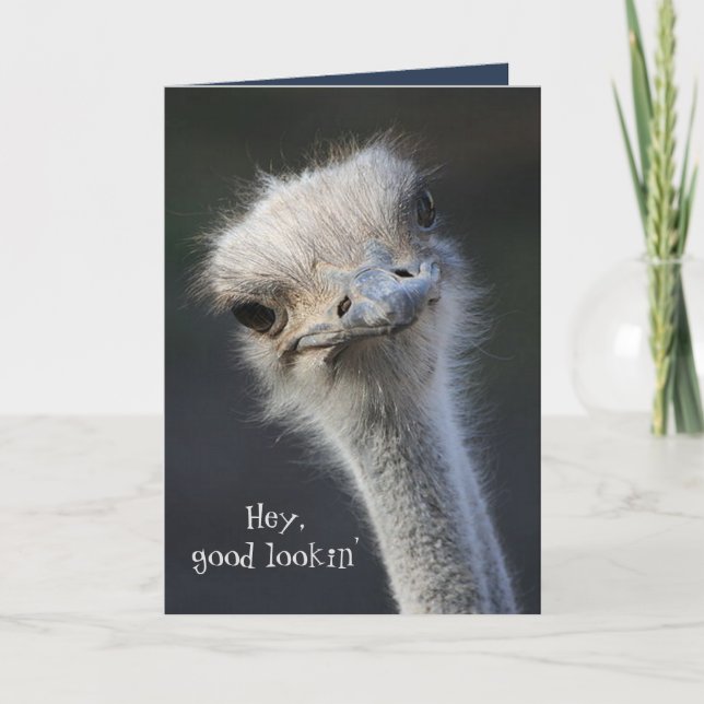 Hey good lookin' all occasion thank you card (Front)